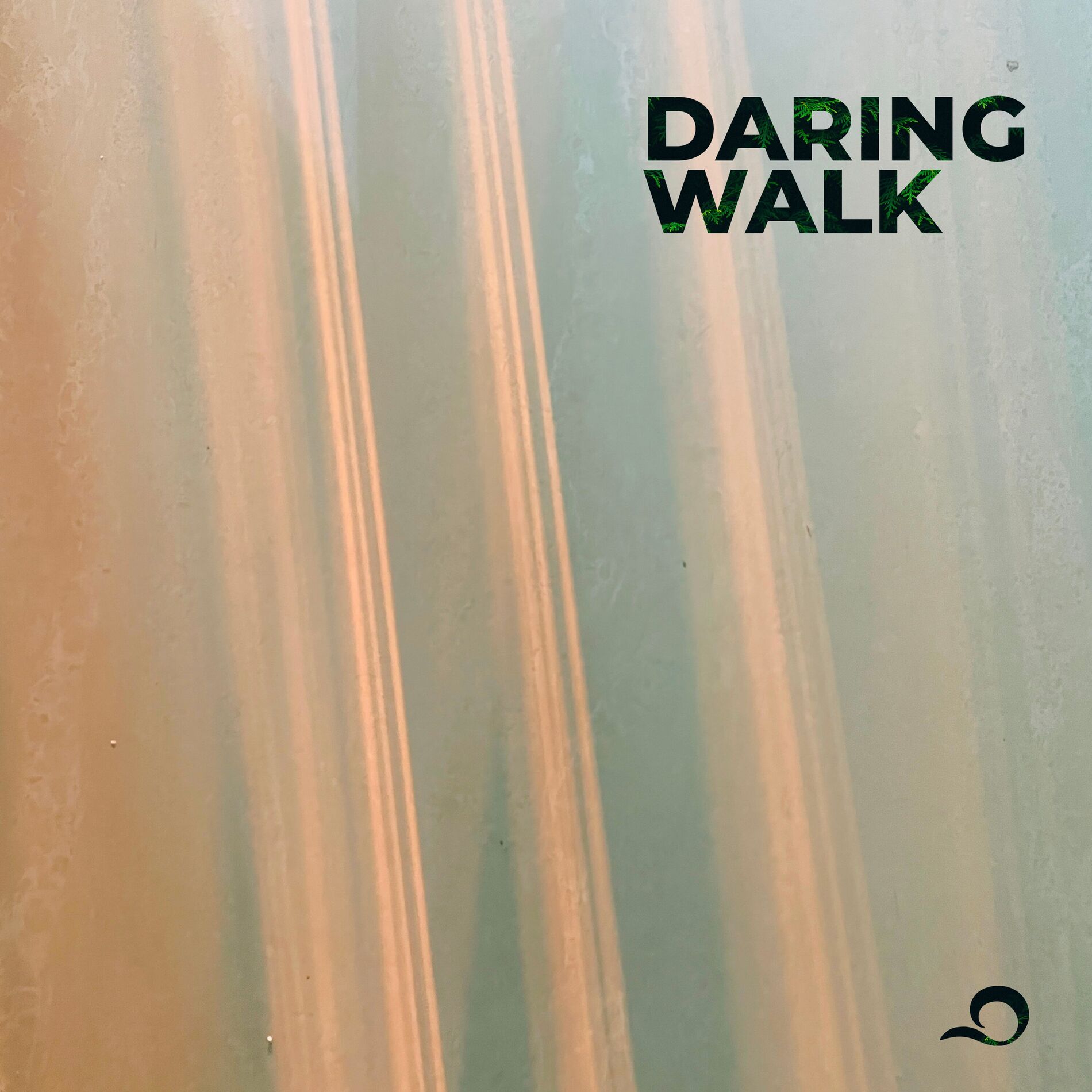 Album cover of Daring Walk