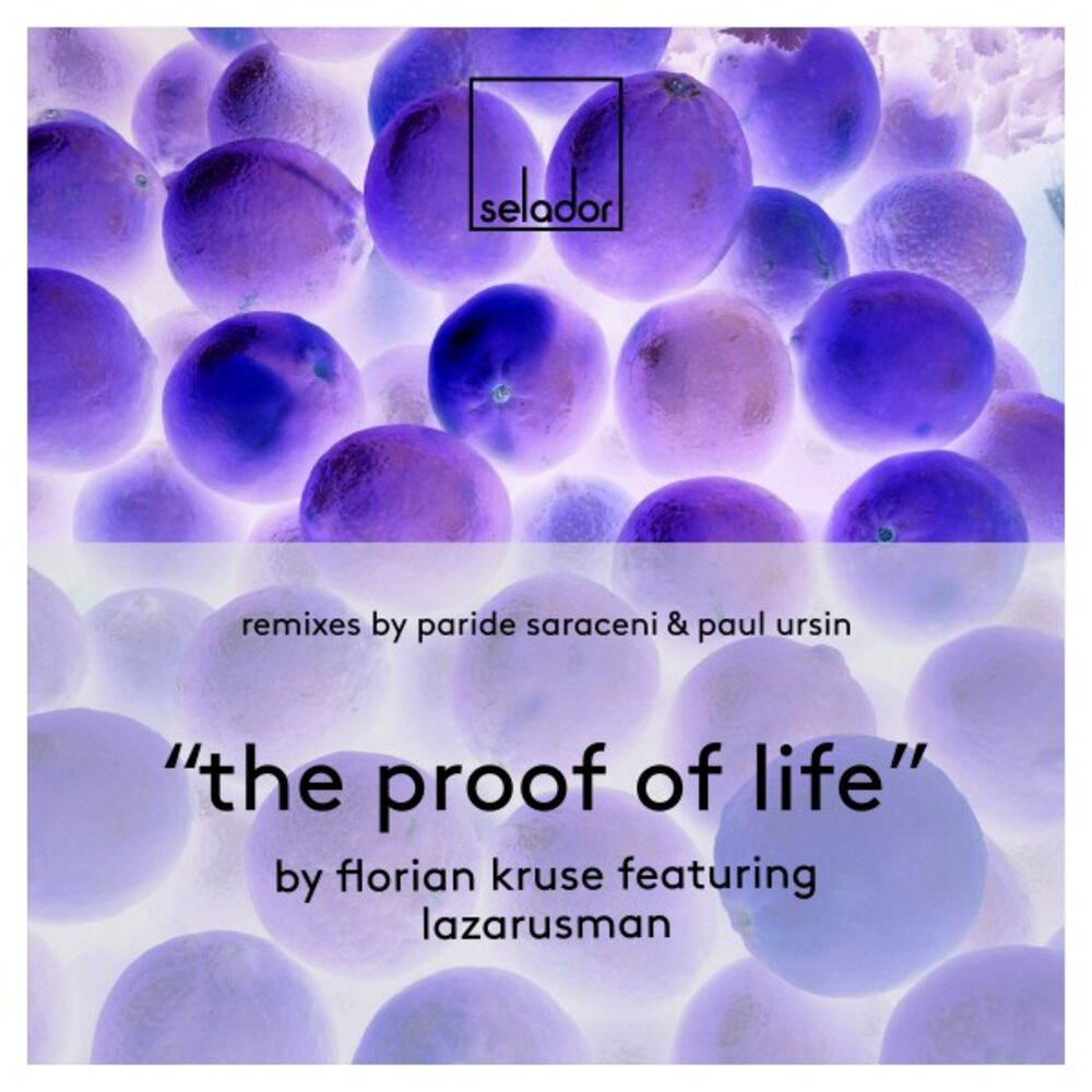 Picture of The Proof of Life