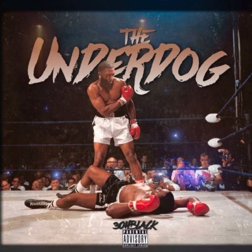Picture of The Underdog