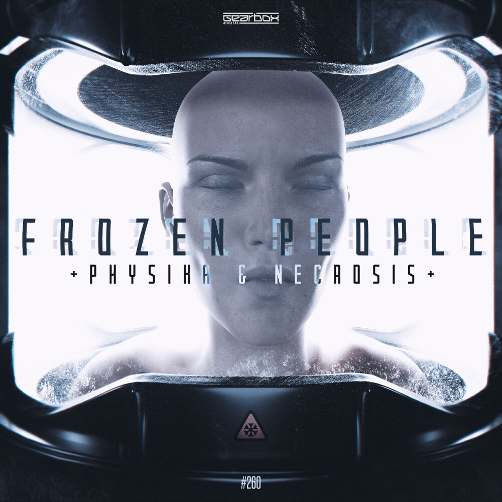 Picture of Frozen People
