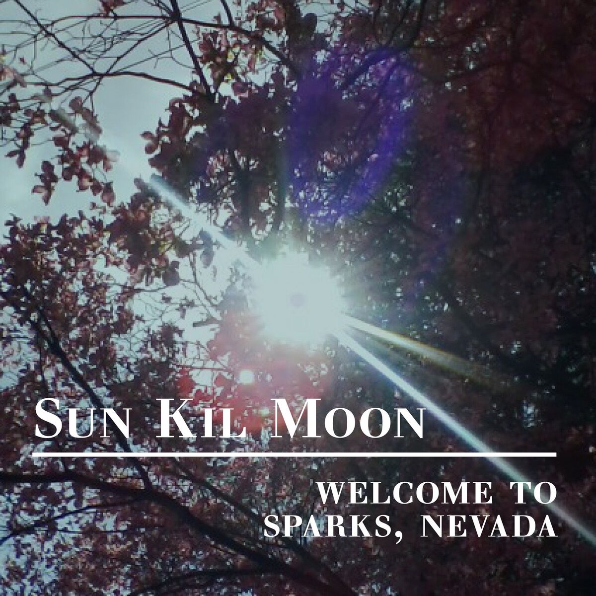 Album cover of Welcome to Sparks, Nevada