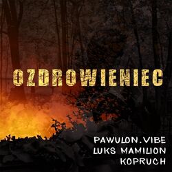 Cover of Ozdrowieniec