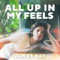 Cover of All Up In My Feels