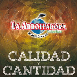 Cover of Calidad Y Cantidad