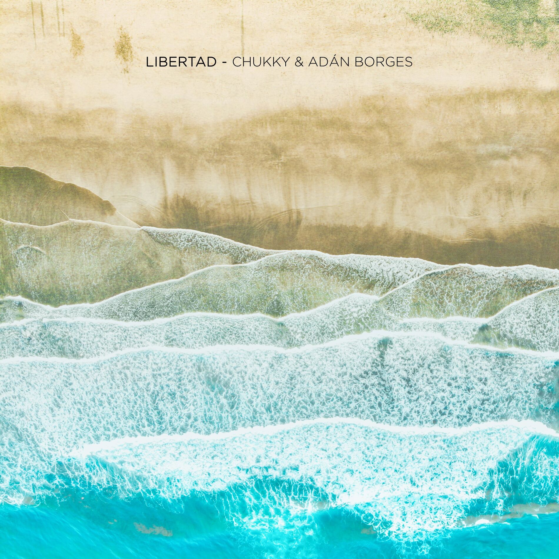 Album cover of Libertad