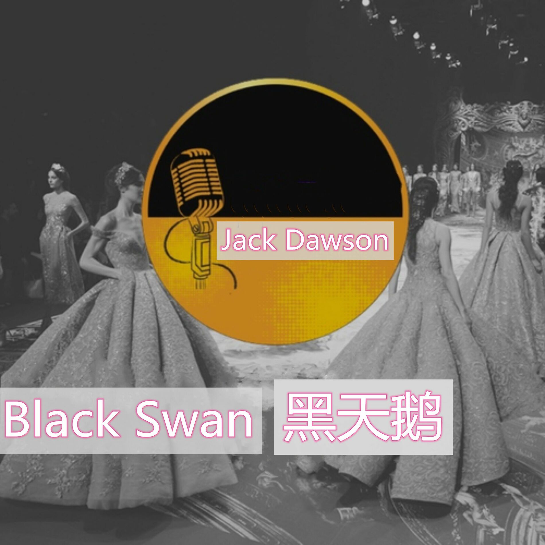 Album cover of Black Swan