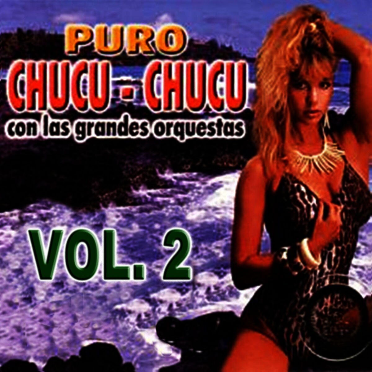 Album cover of Puro Chucu Chucu Volume 2