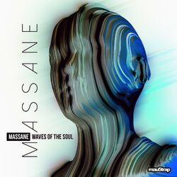 Cover of Waves of the Soul