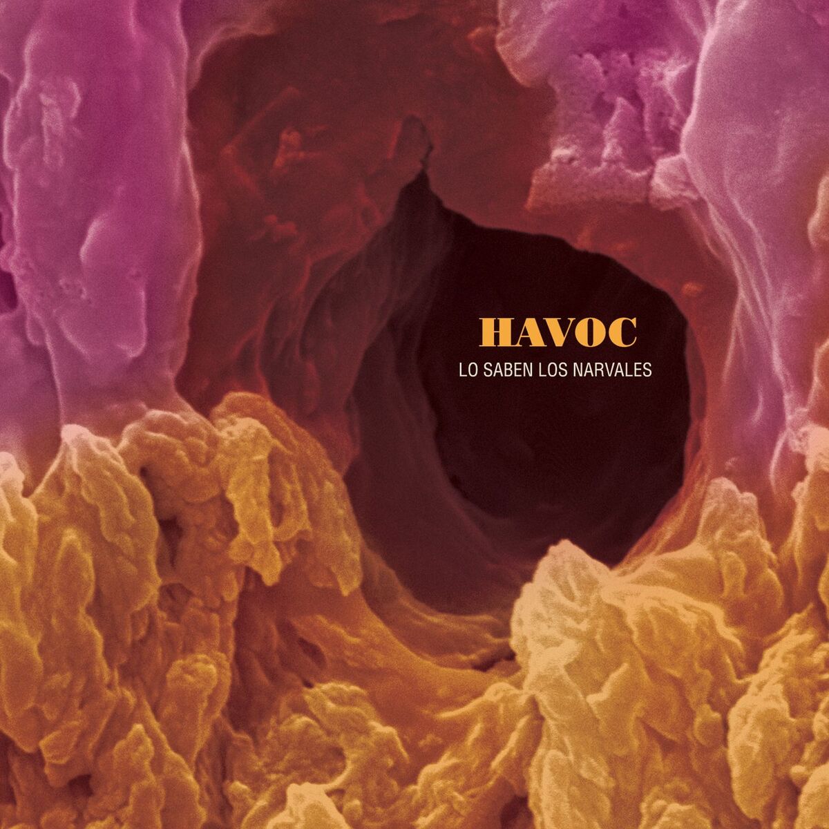 Album cover of Lo Saben los Narvales