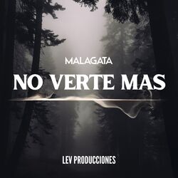 Cover of No Verte Más