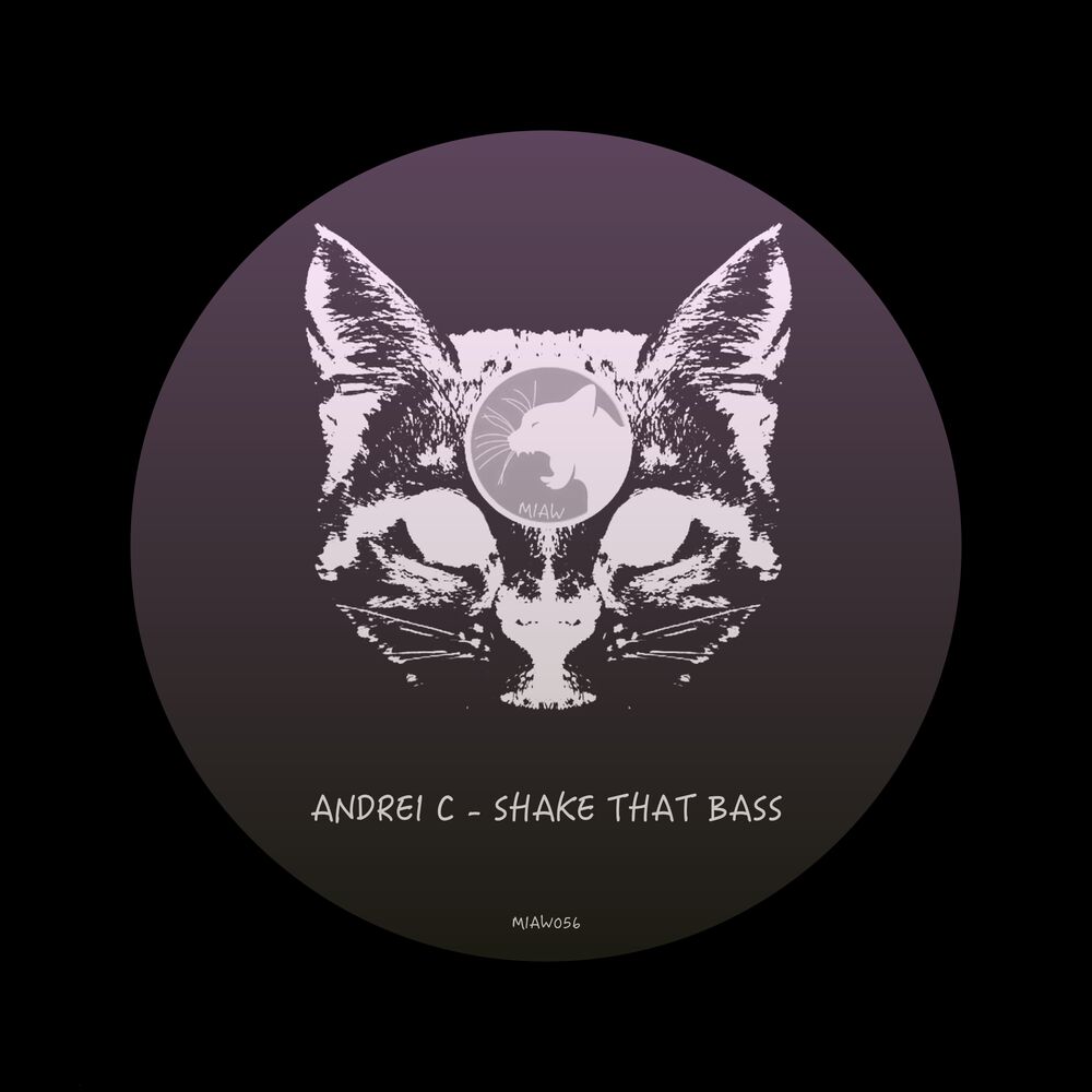 Picture of Shake That Bass
