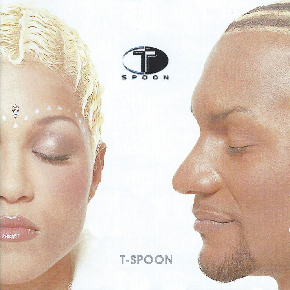 Picture of T-Spoon