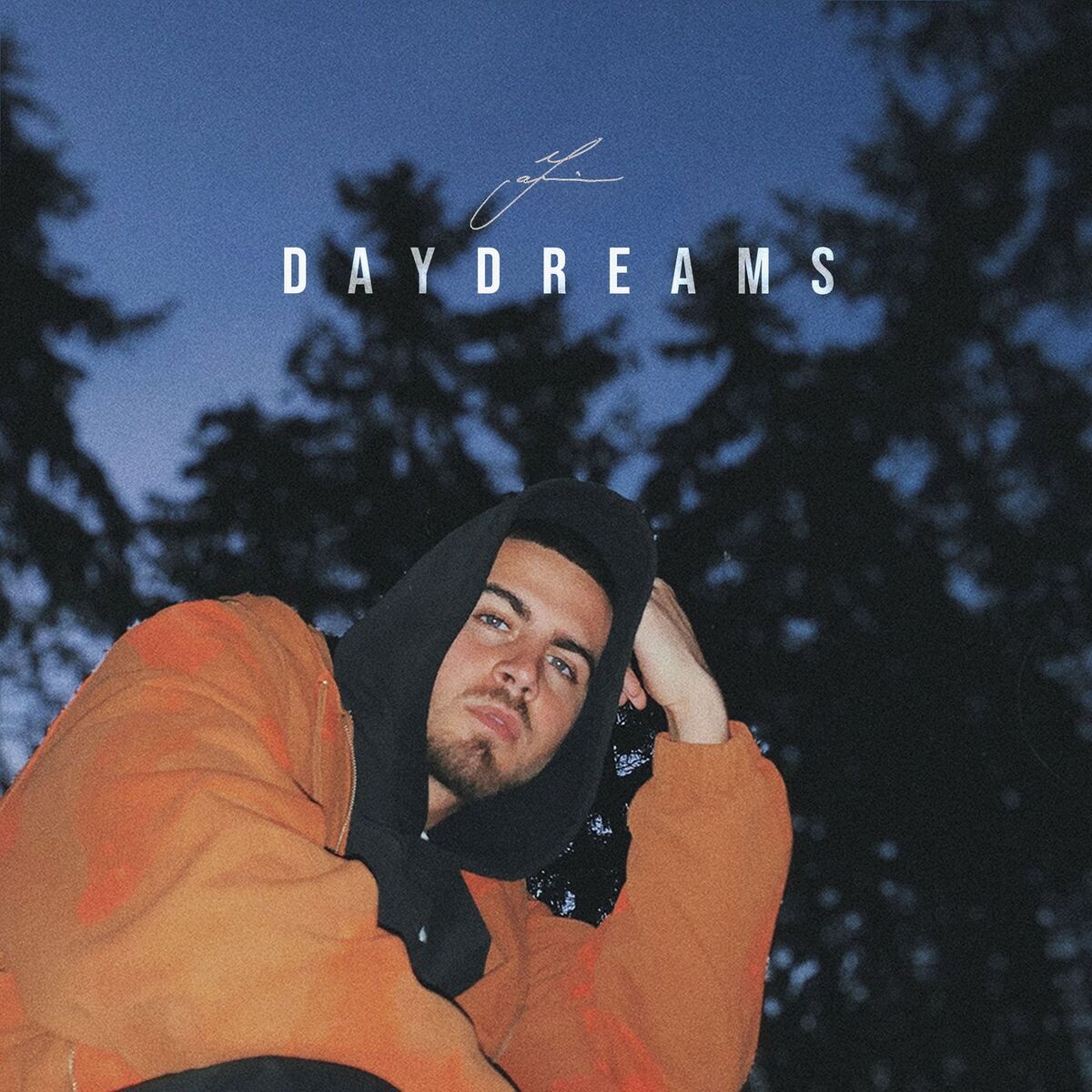 Album cover of Daydreams