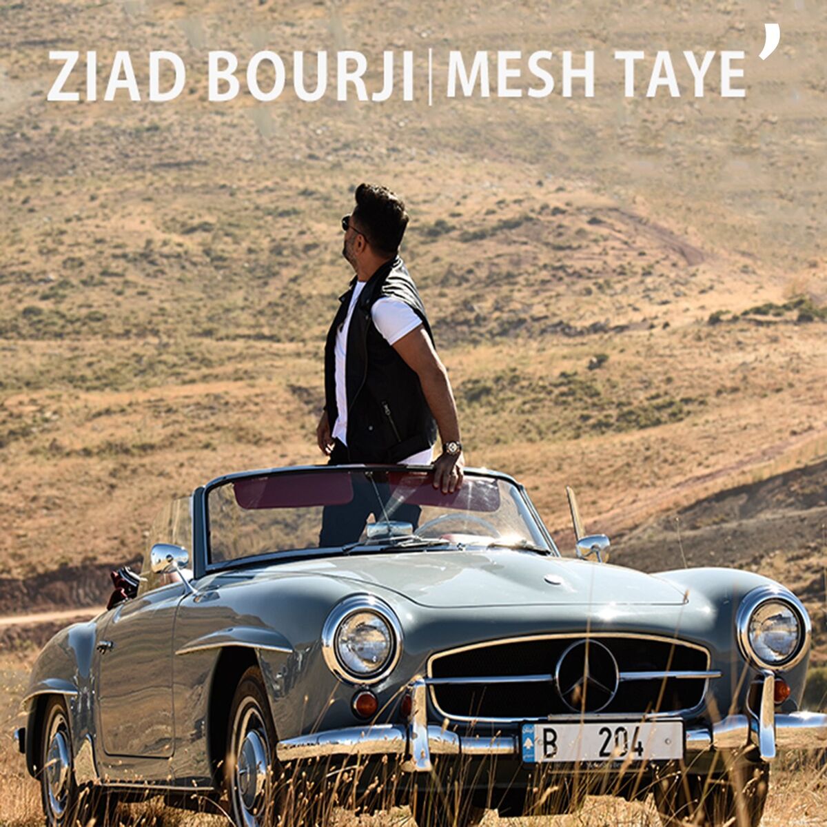 Album cover of Mesh Taye'