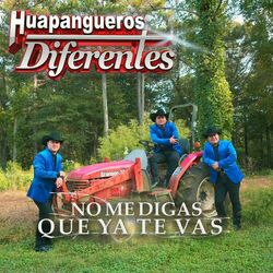 Cover of No Me Digas Que Ya Te Vas