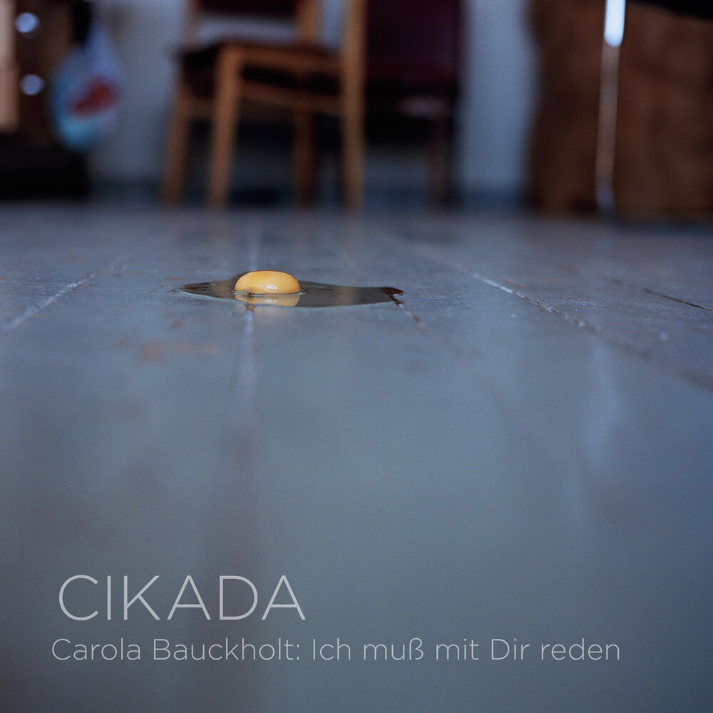 Picture of Carola Bauckholt: Ich Muß Mit Dir Reden
