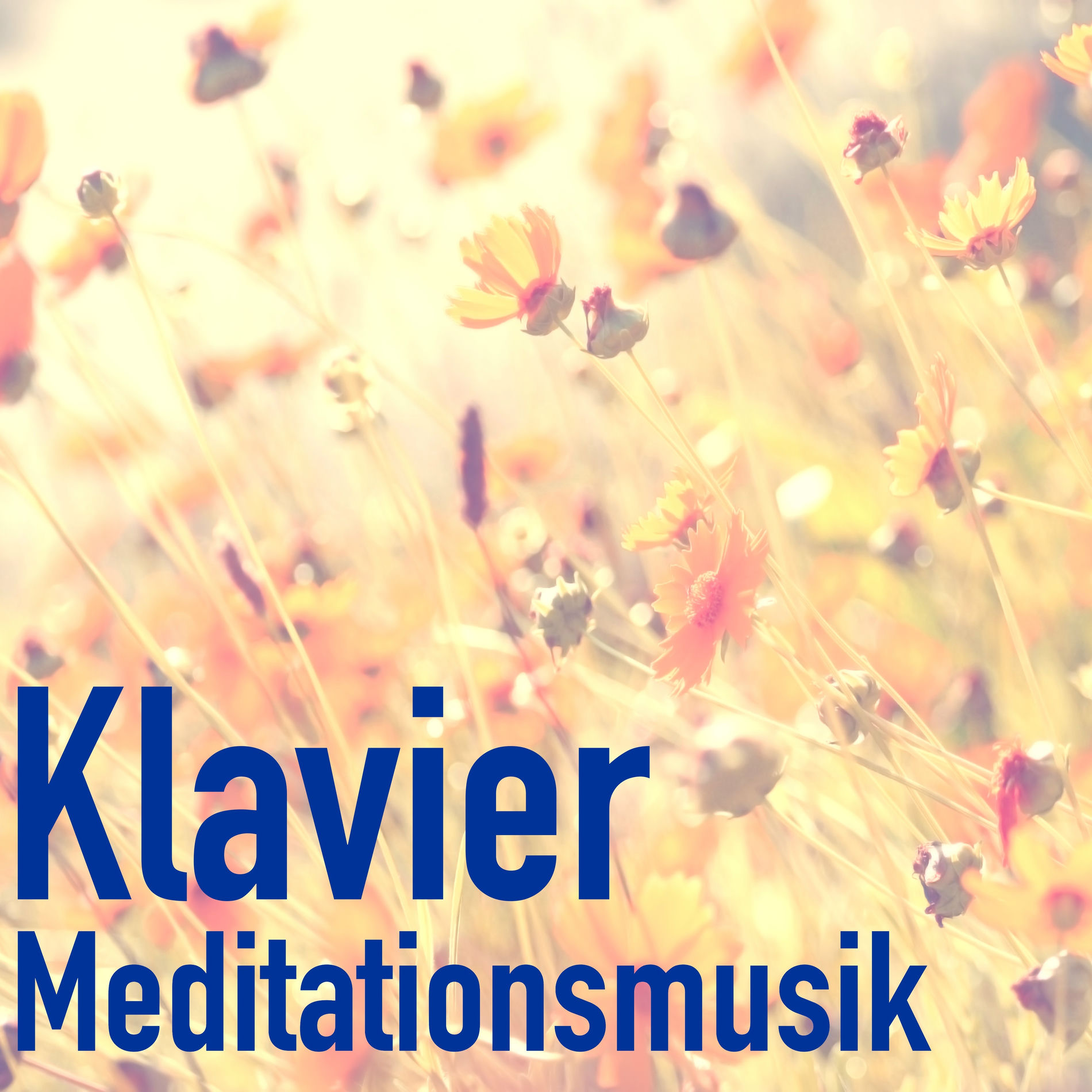 Album cover of Klavier Meditationsmusik Naturtöne - Beruhigende Klavier für Yoga, Meditation, Spa, Massage, Sleep & Rest