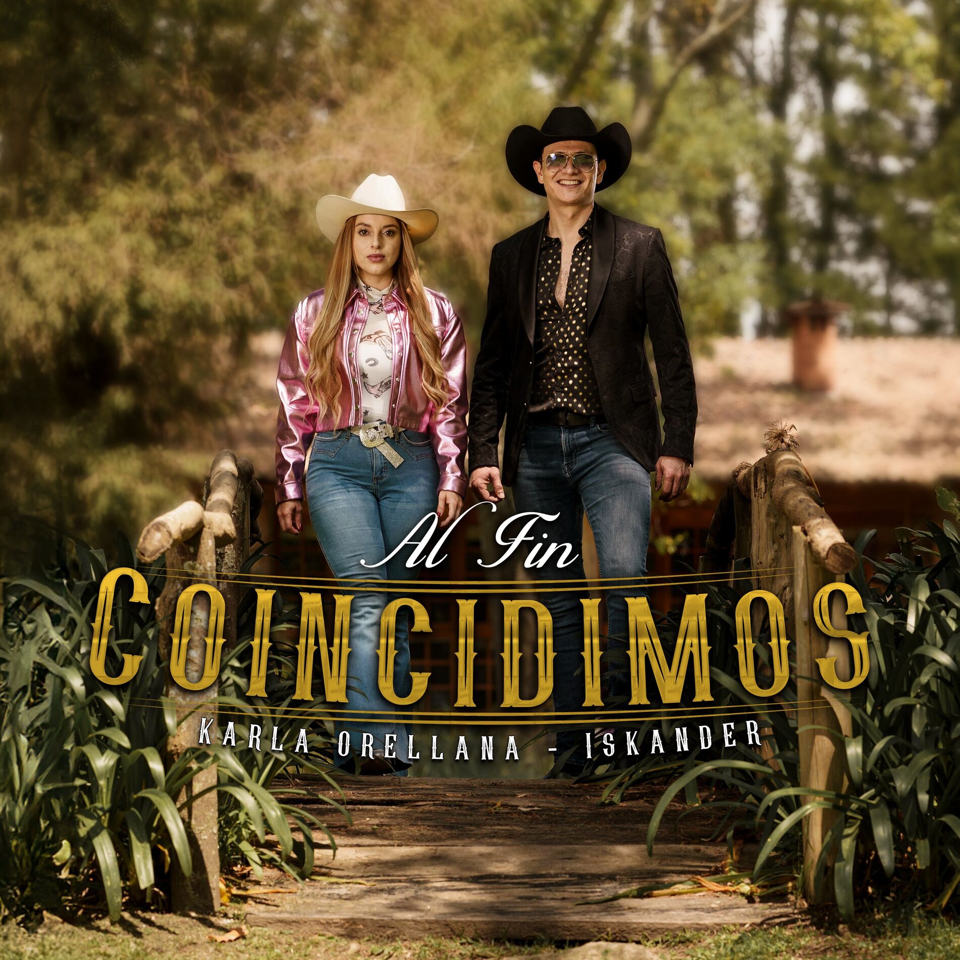 Album cover of Al Fin Coincidimos
