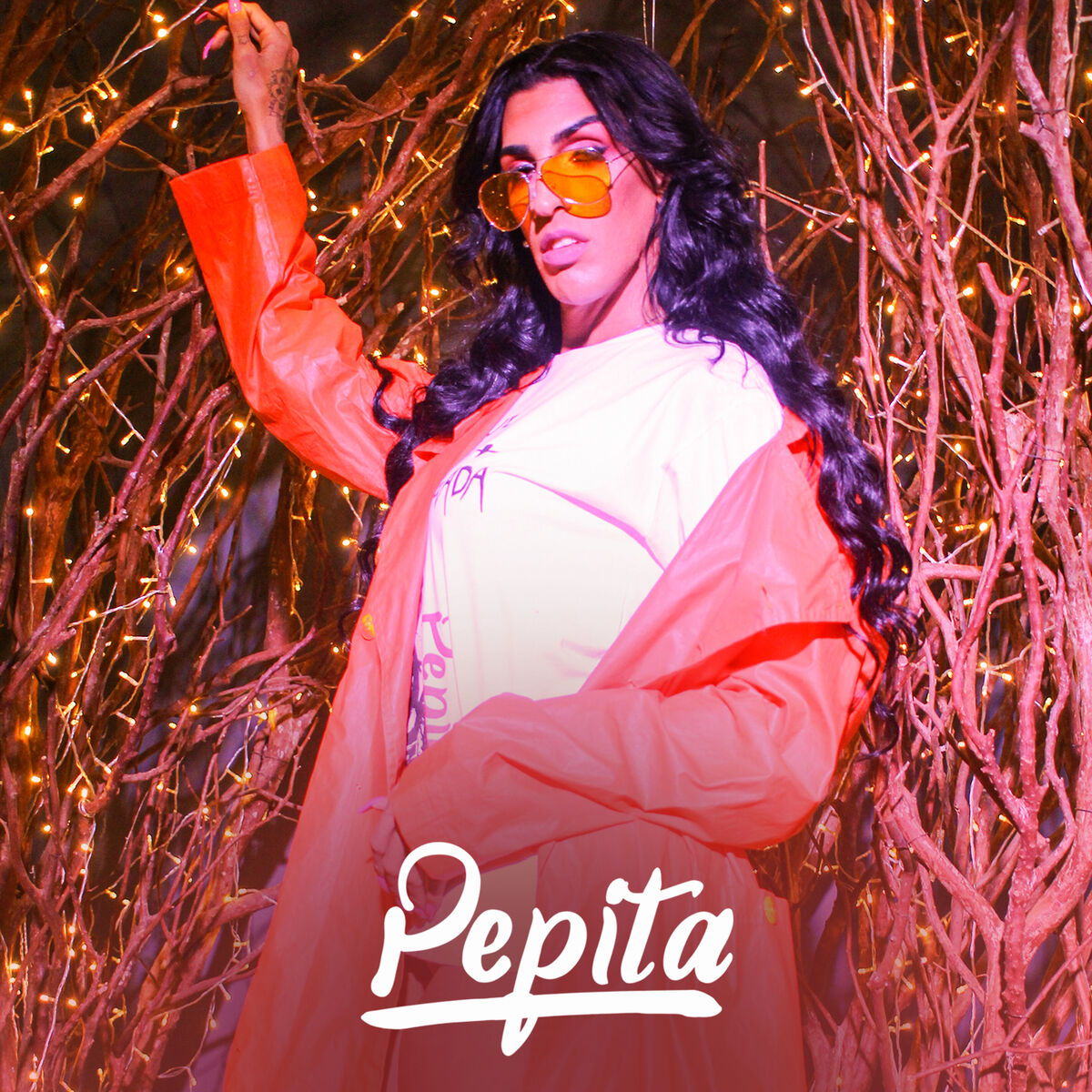 Album cover of Abriu a Porta
