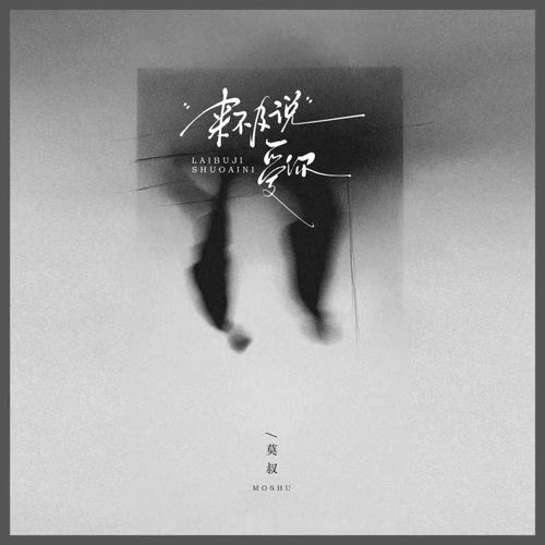 来不及说爱你