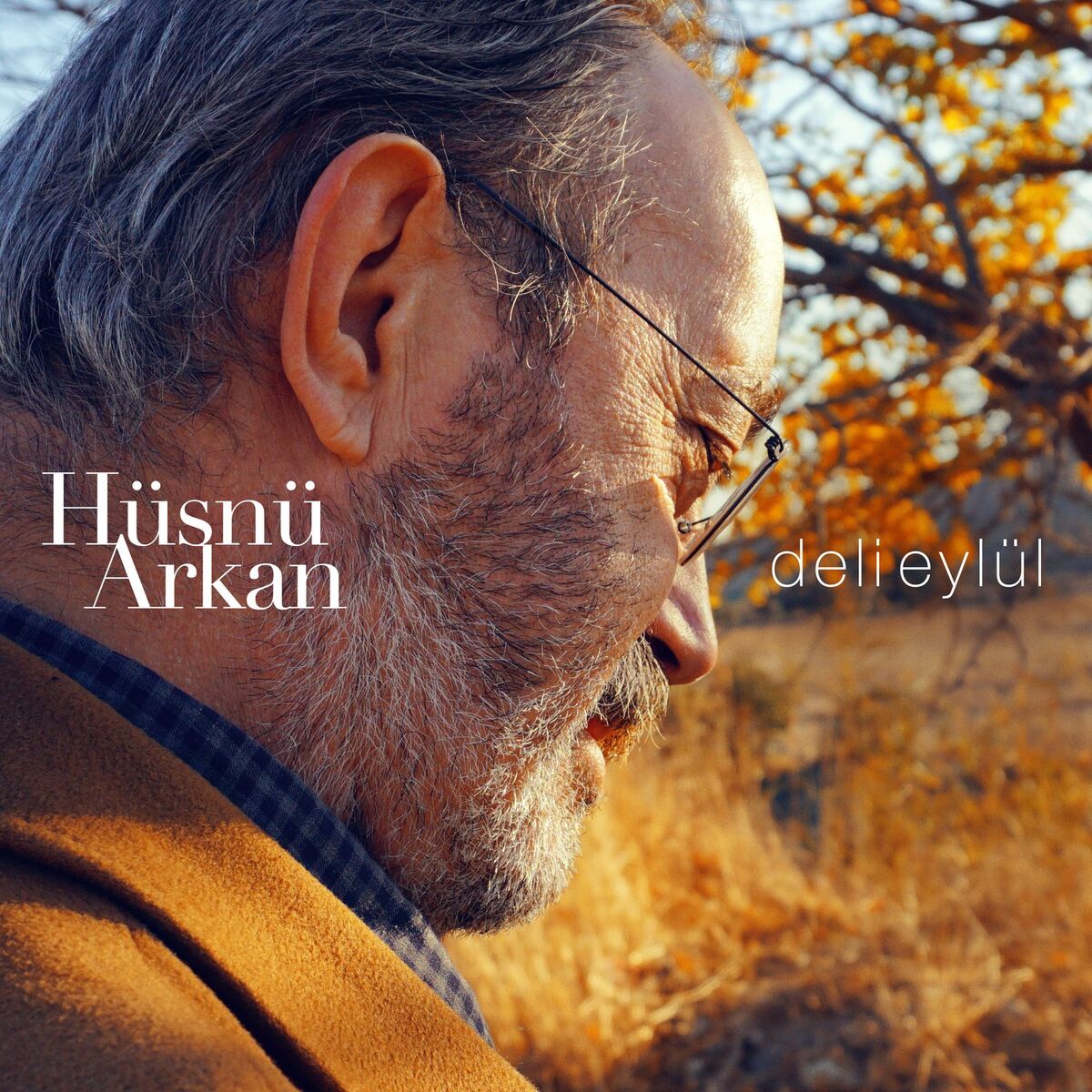 Album cover of Deli Eylül