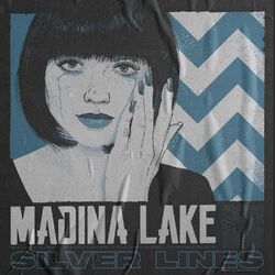 Cover of Silver Lines
