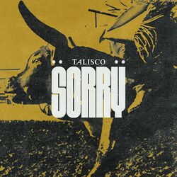 Cover of Sorry
