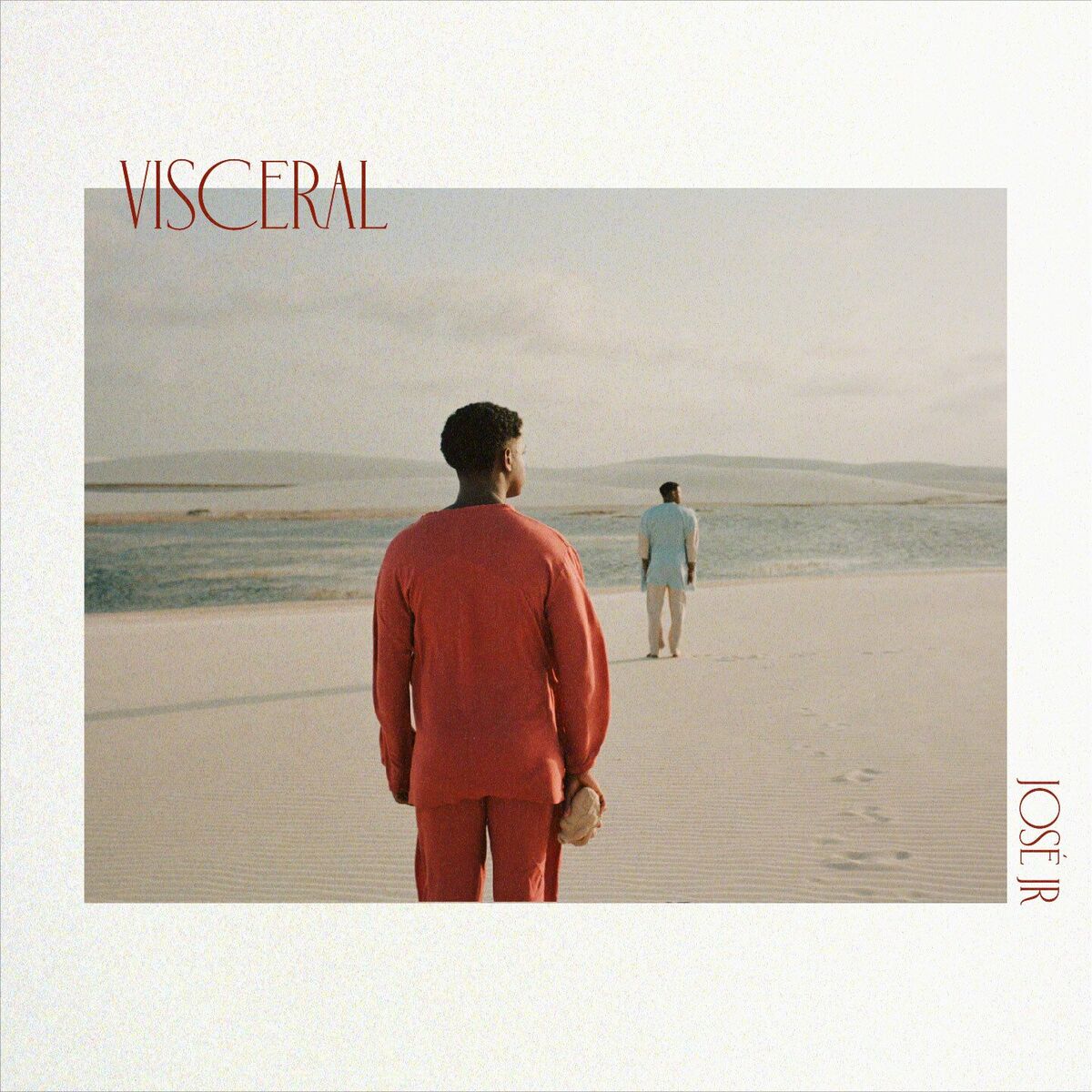Album cover of Visceral