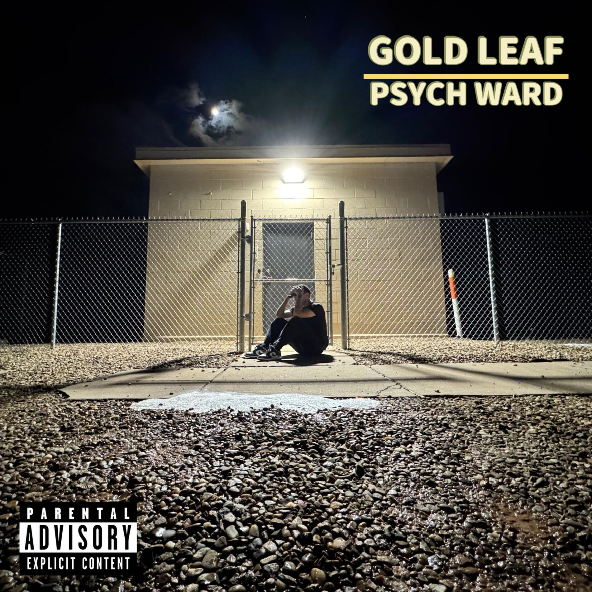 Album cover of Psych Ward