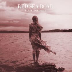 Cover of Red Sea Road (Instrumental Performance Tracks)