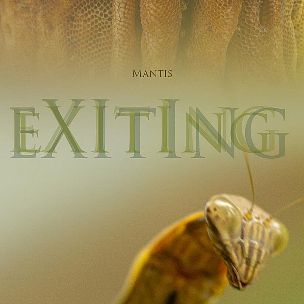 Picture of Exiting