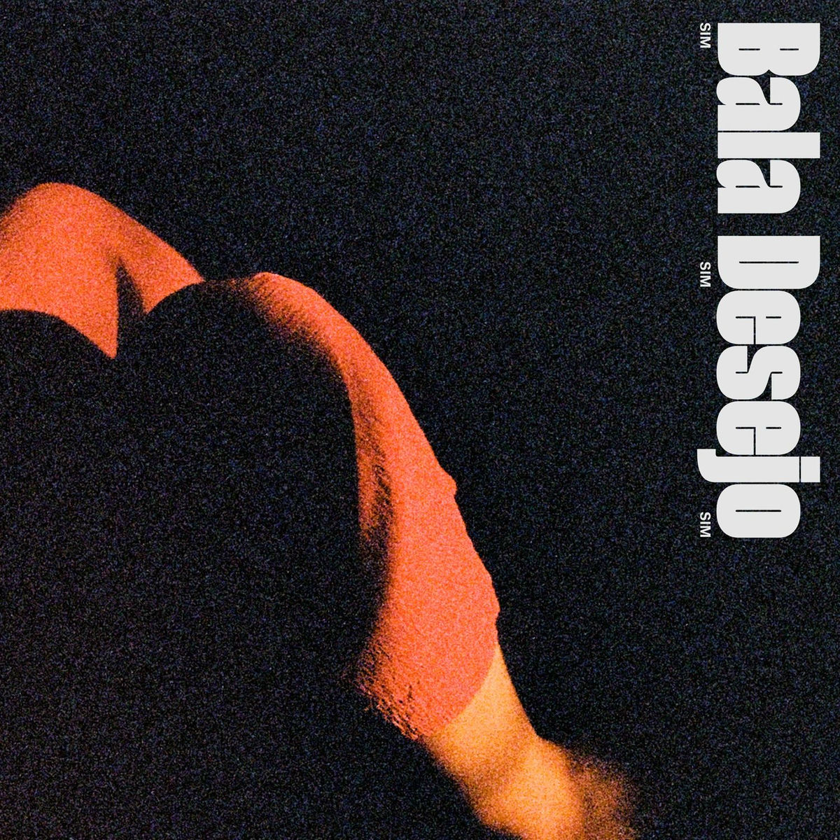 Album cover of Passarinha