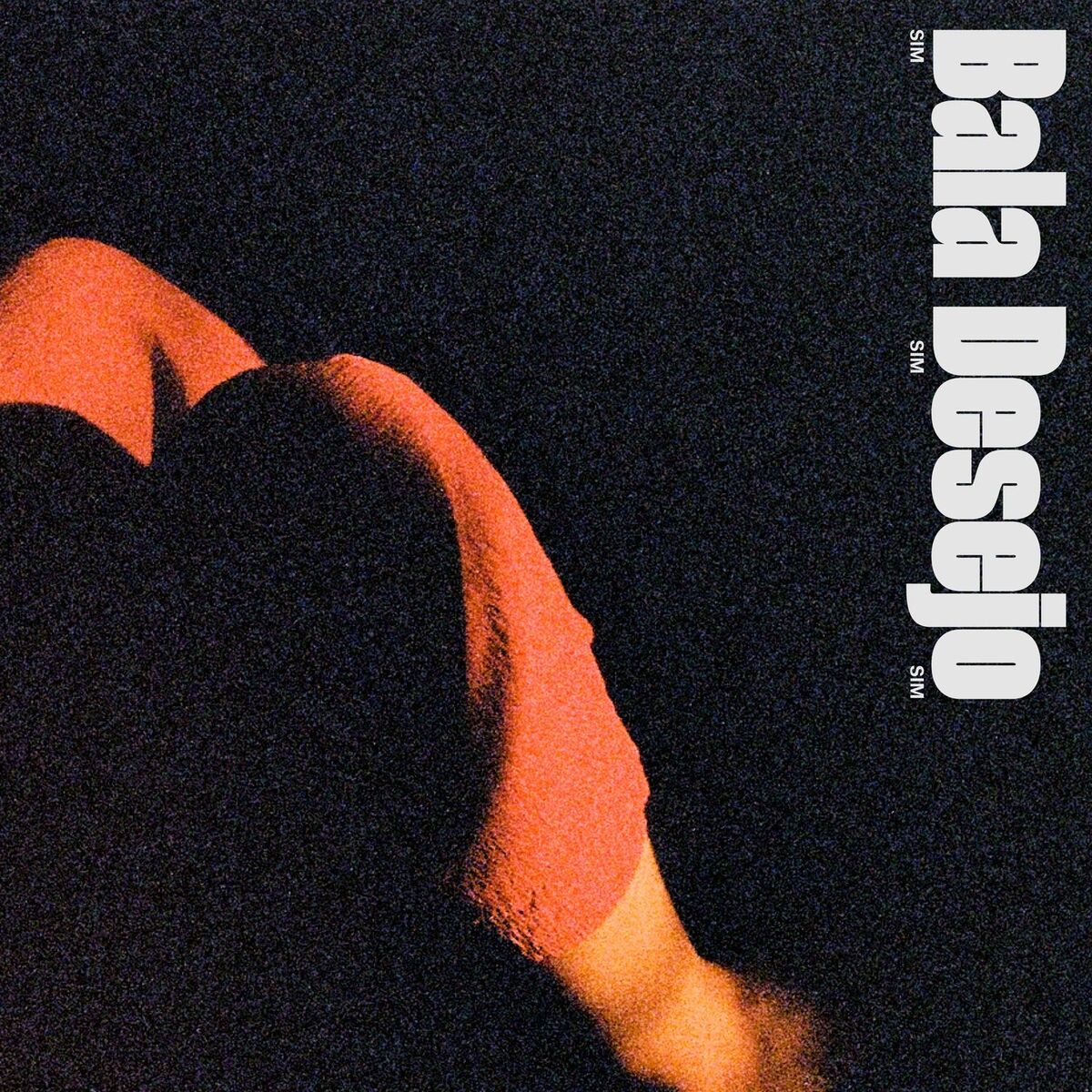 Album cover of SIM SIM SIM