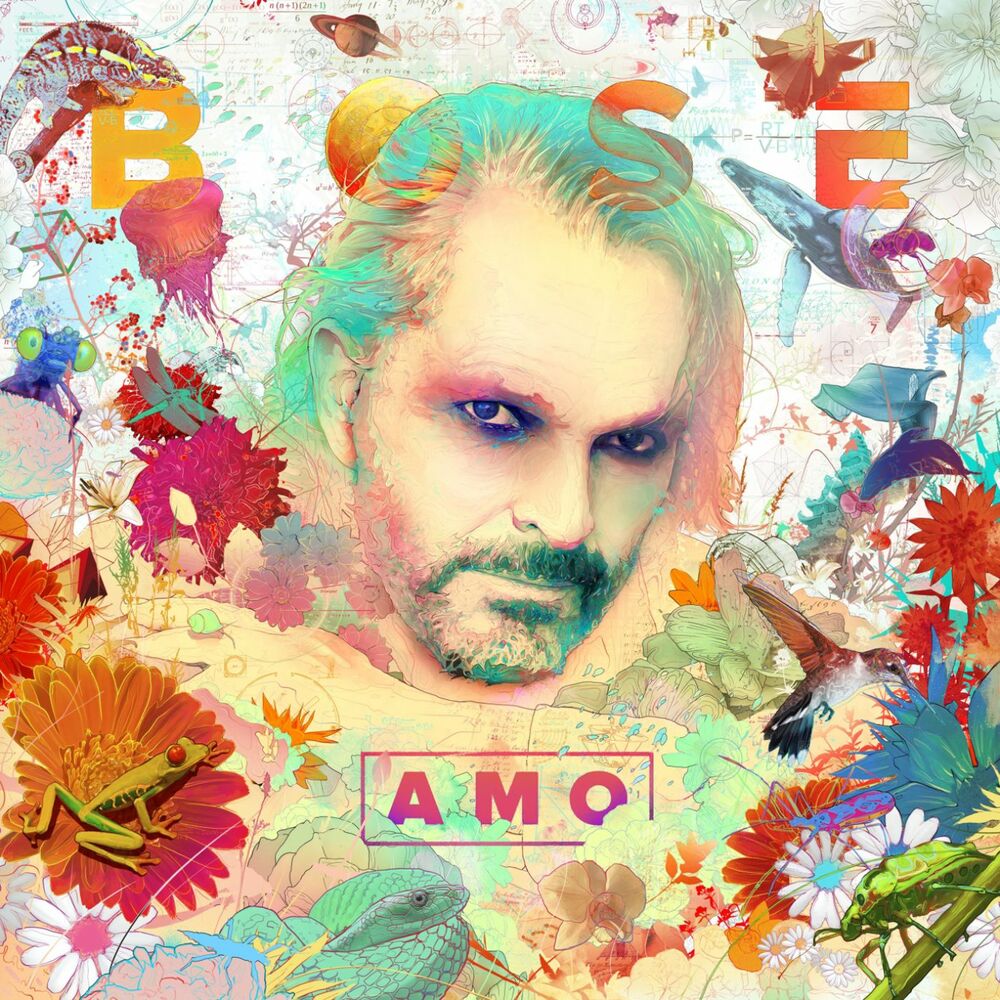 Picture of Amo