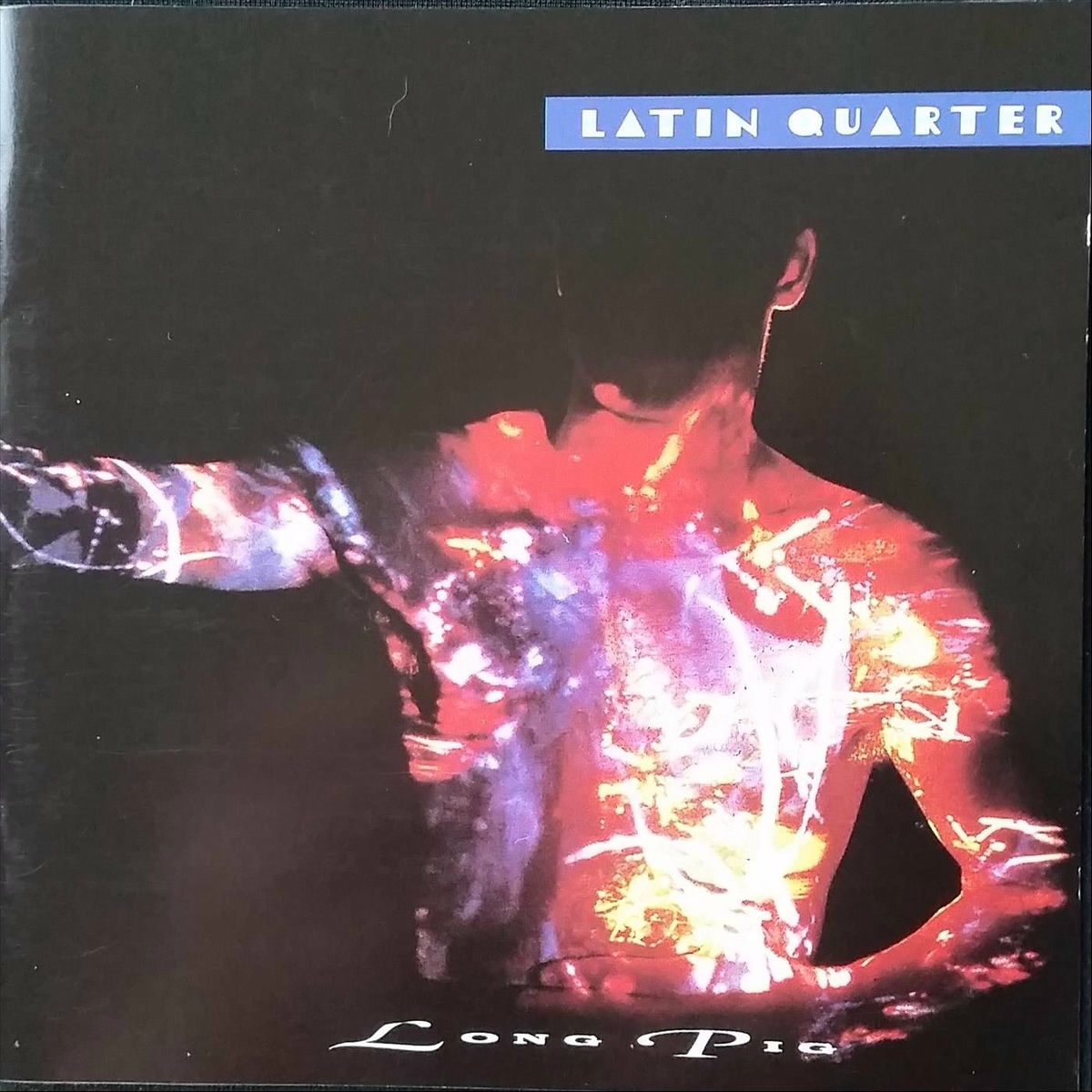 Album cover of Long Pig