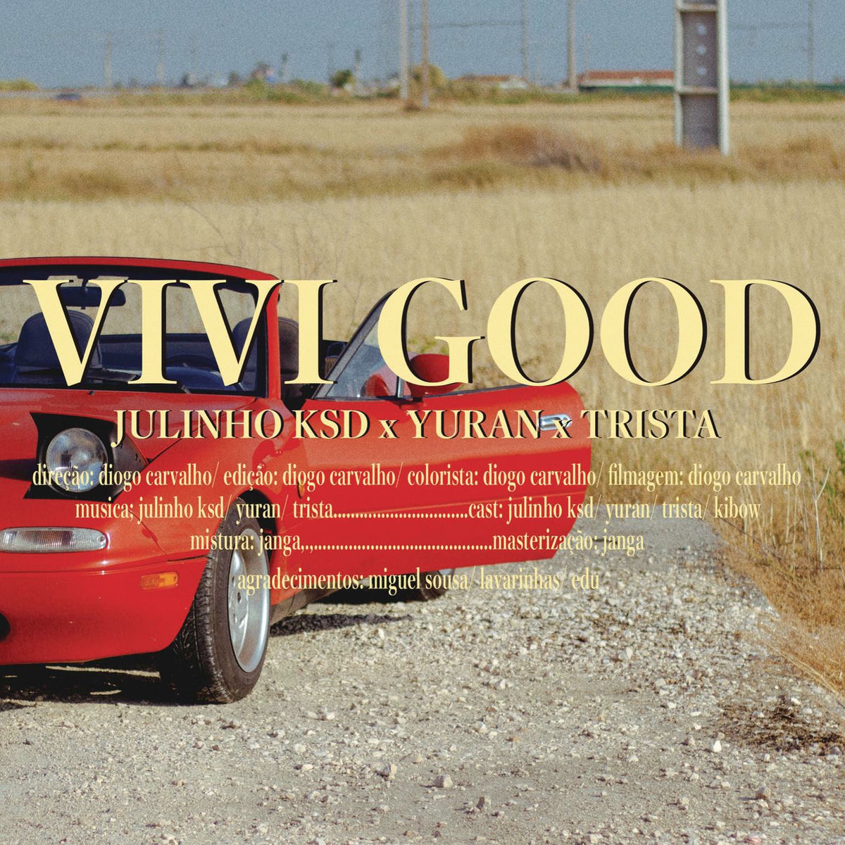 Album cover of Vivi Good