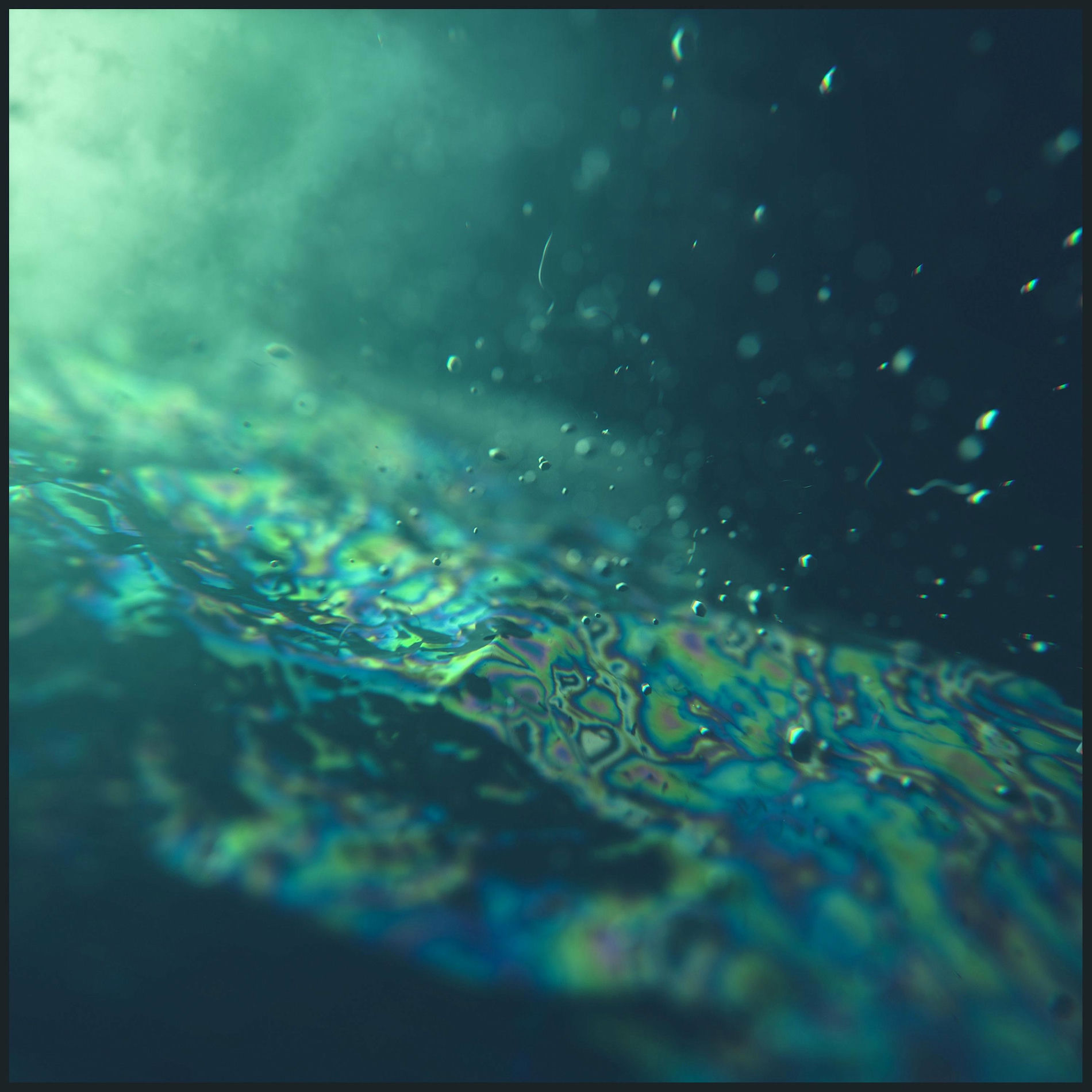Album cover of Slow Dancing In Forest Rain