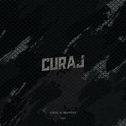 Cover of Curaj