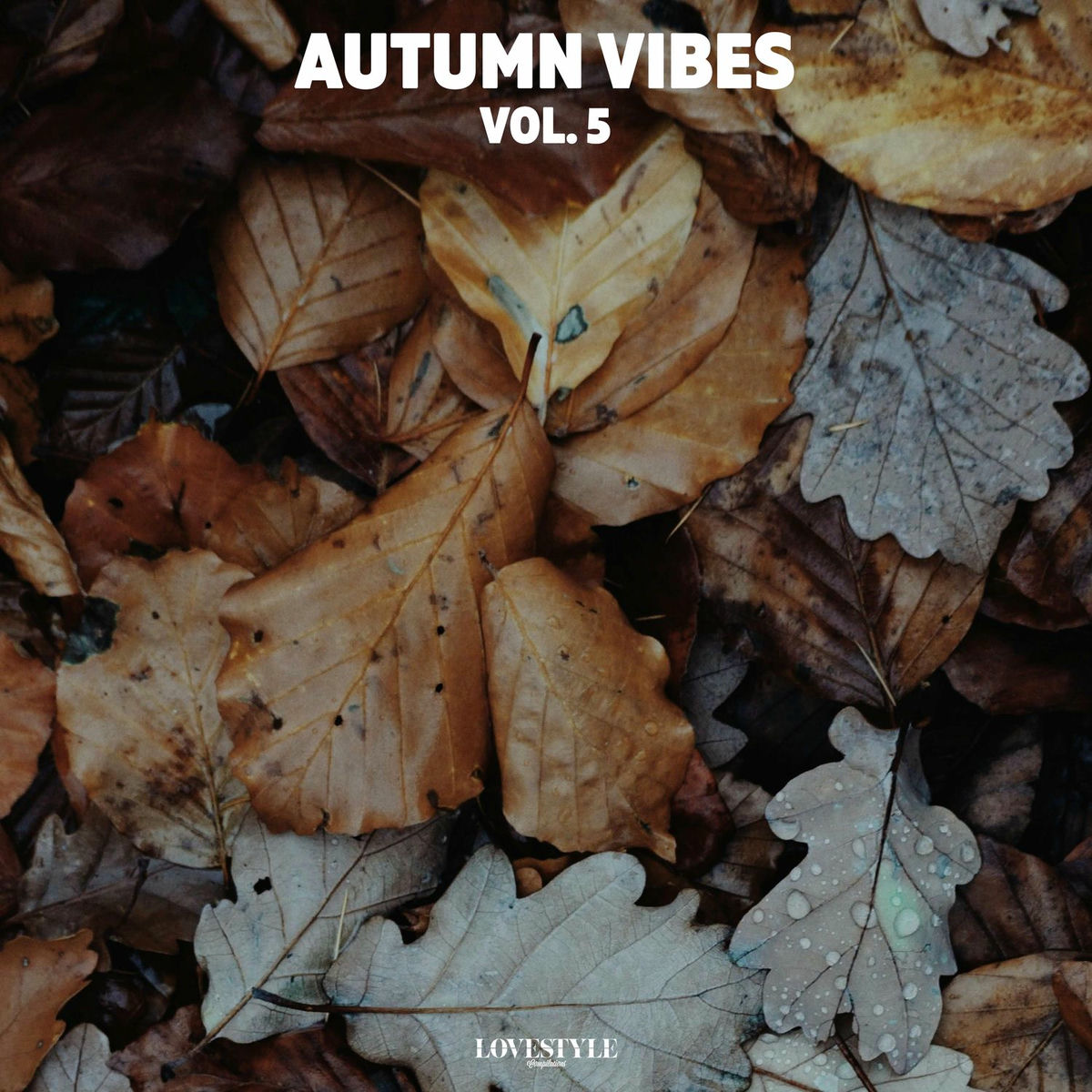 Album cover of Autumn Vibes, Vol. 5