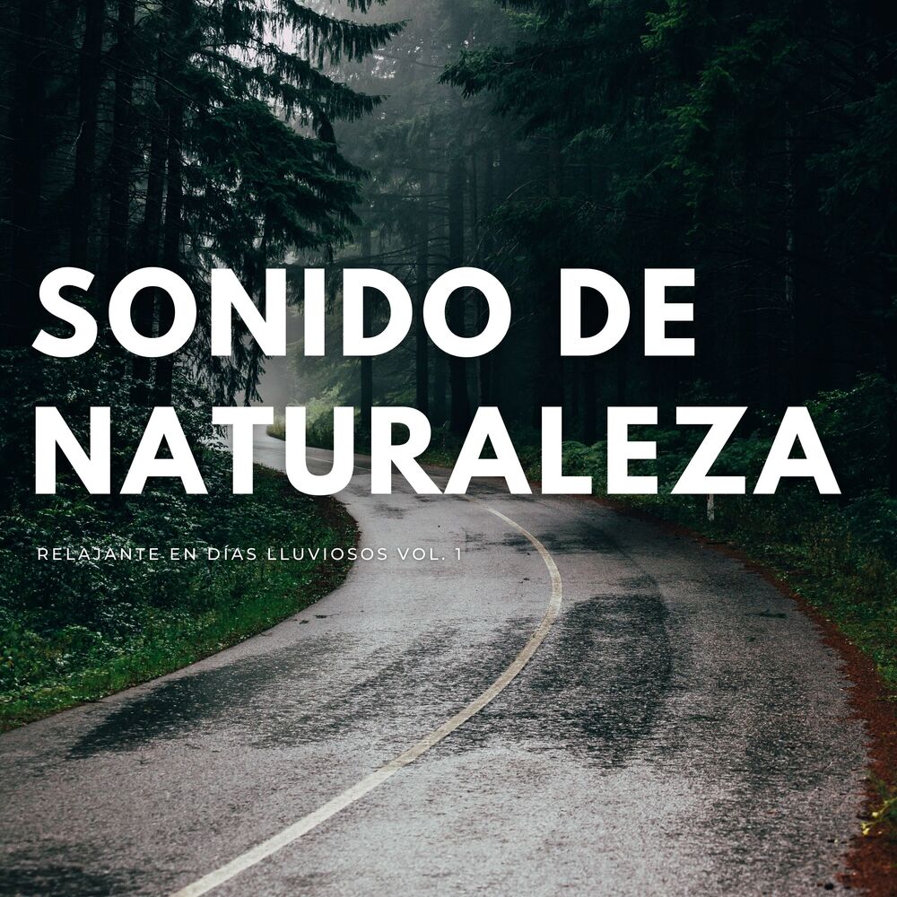 Picture of Sonido De Naturaleza Relajante En Días Lluviosos Vol. 1