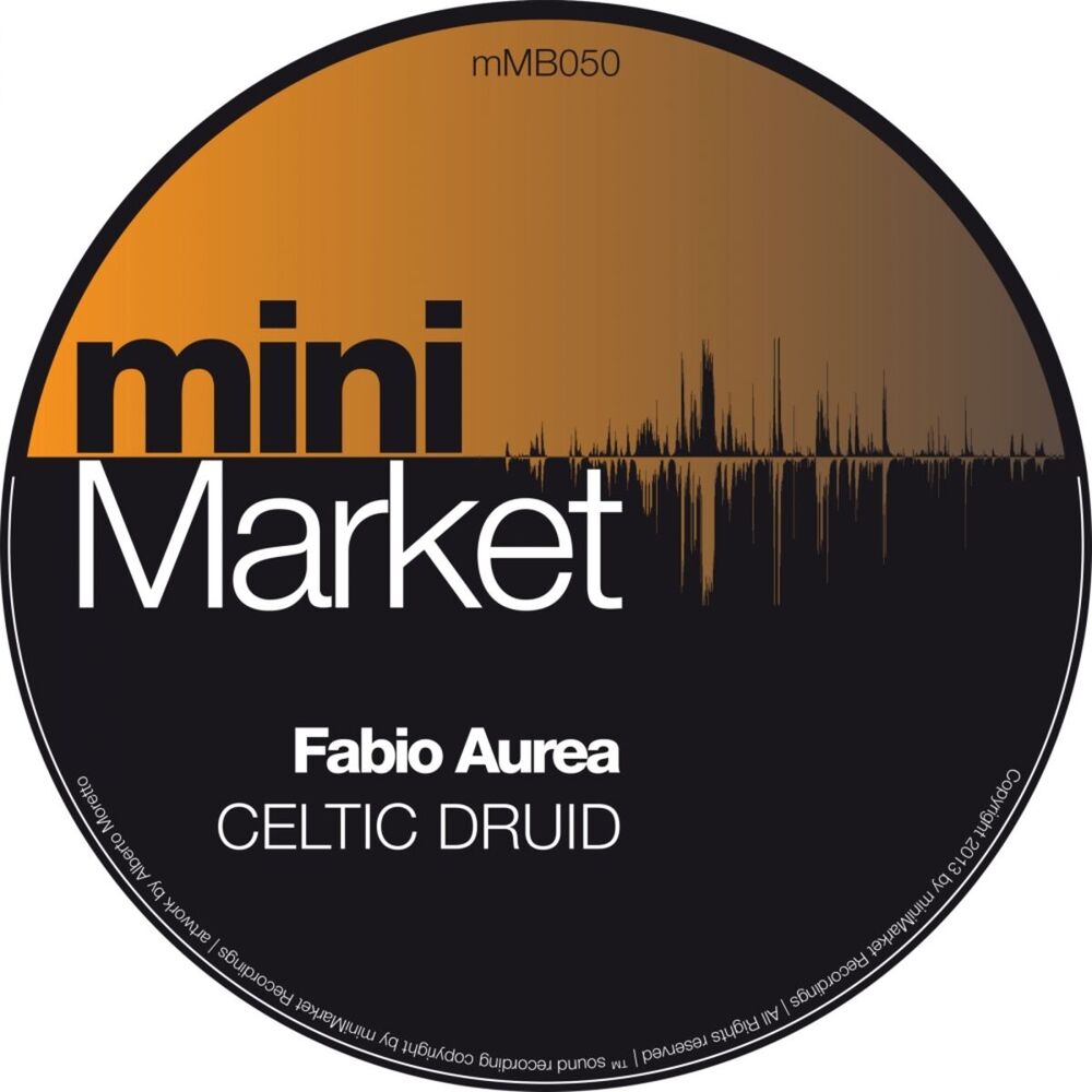 Picture of Celtic Druid