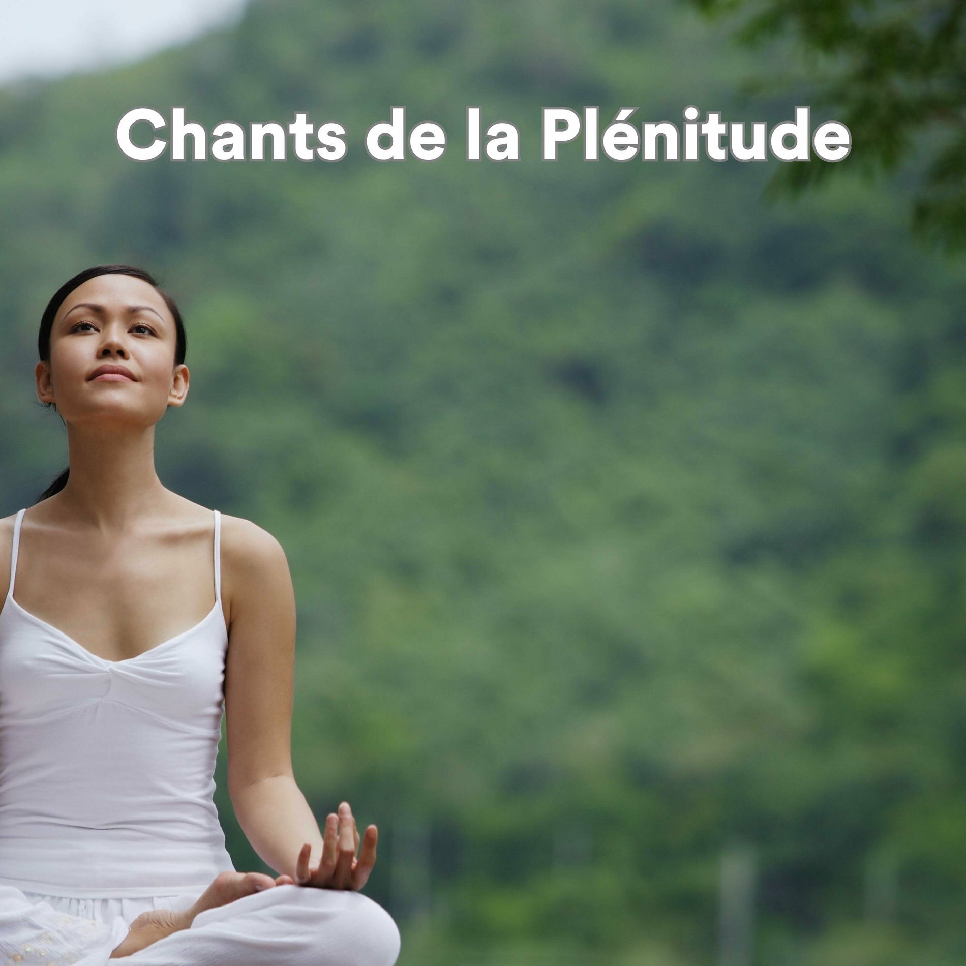 Album cover of Chants de la plénitude (Musique de détente et de méditation)