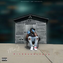 Cover of Misunderstood