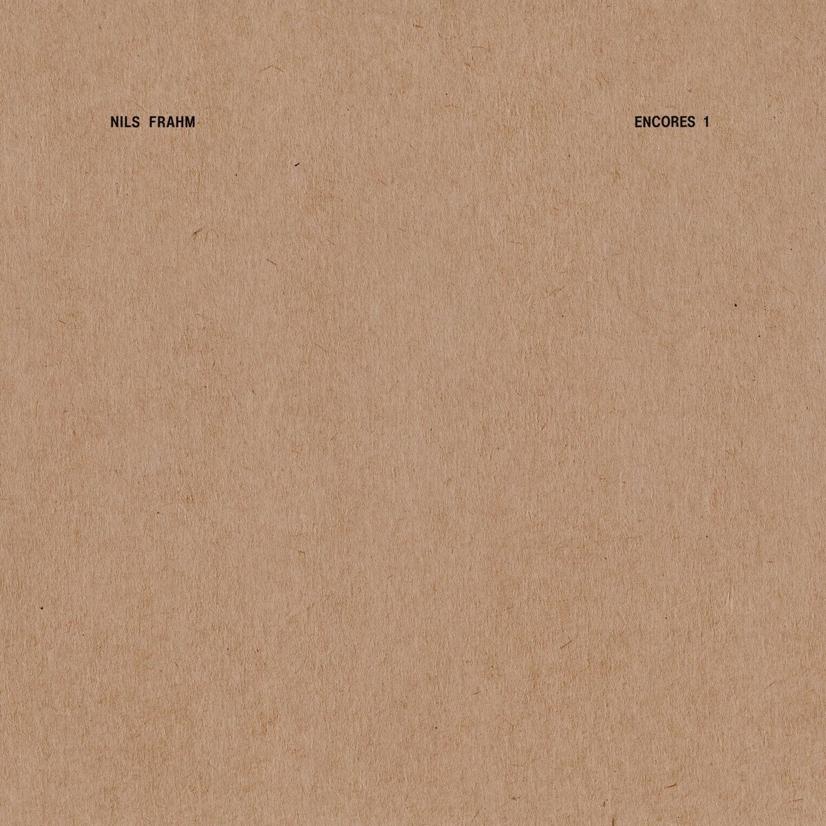 Album cover of The Dane