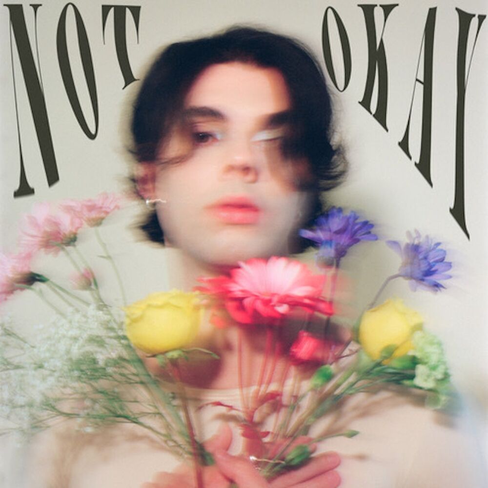Picture of Not Okay