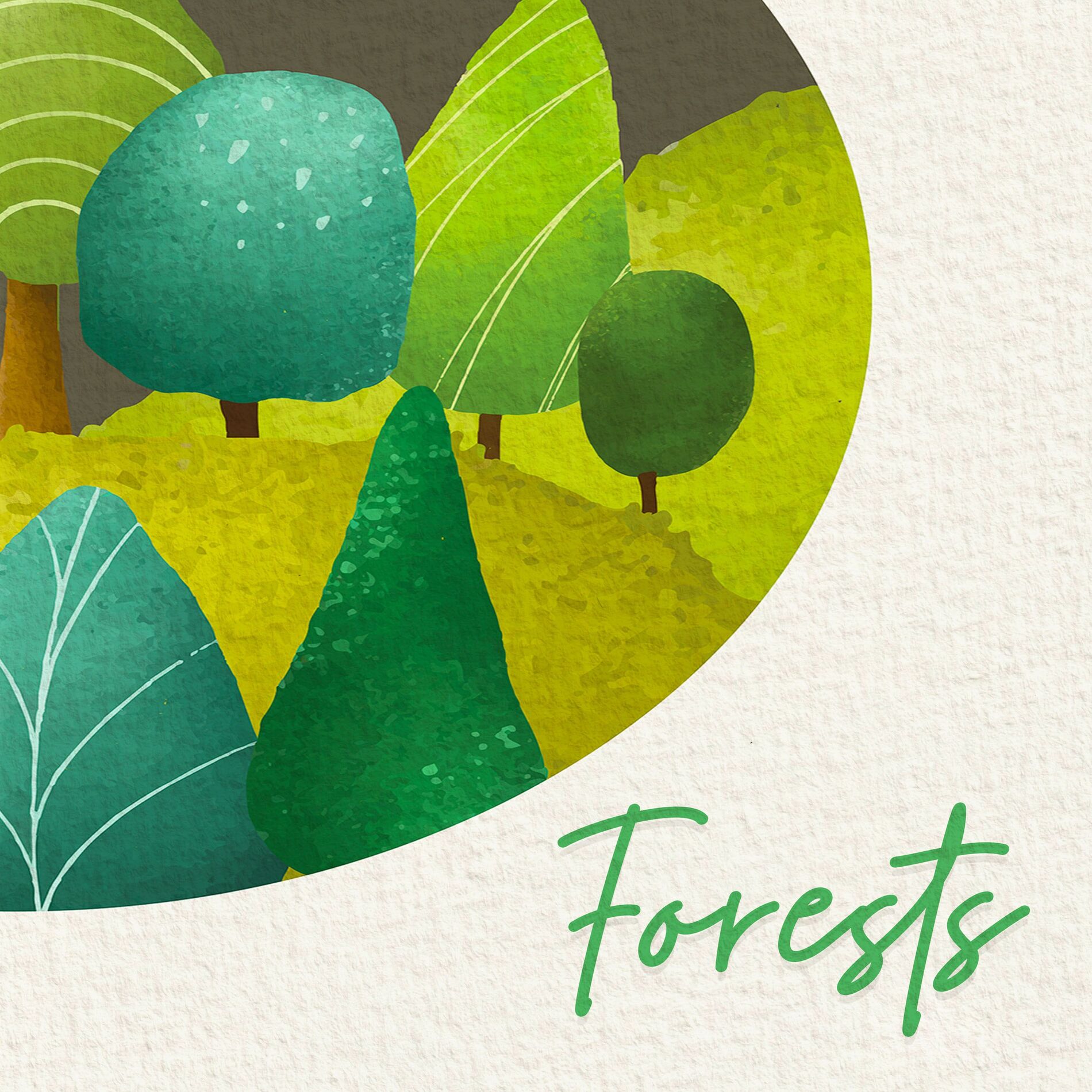 Album cover of Forests