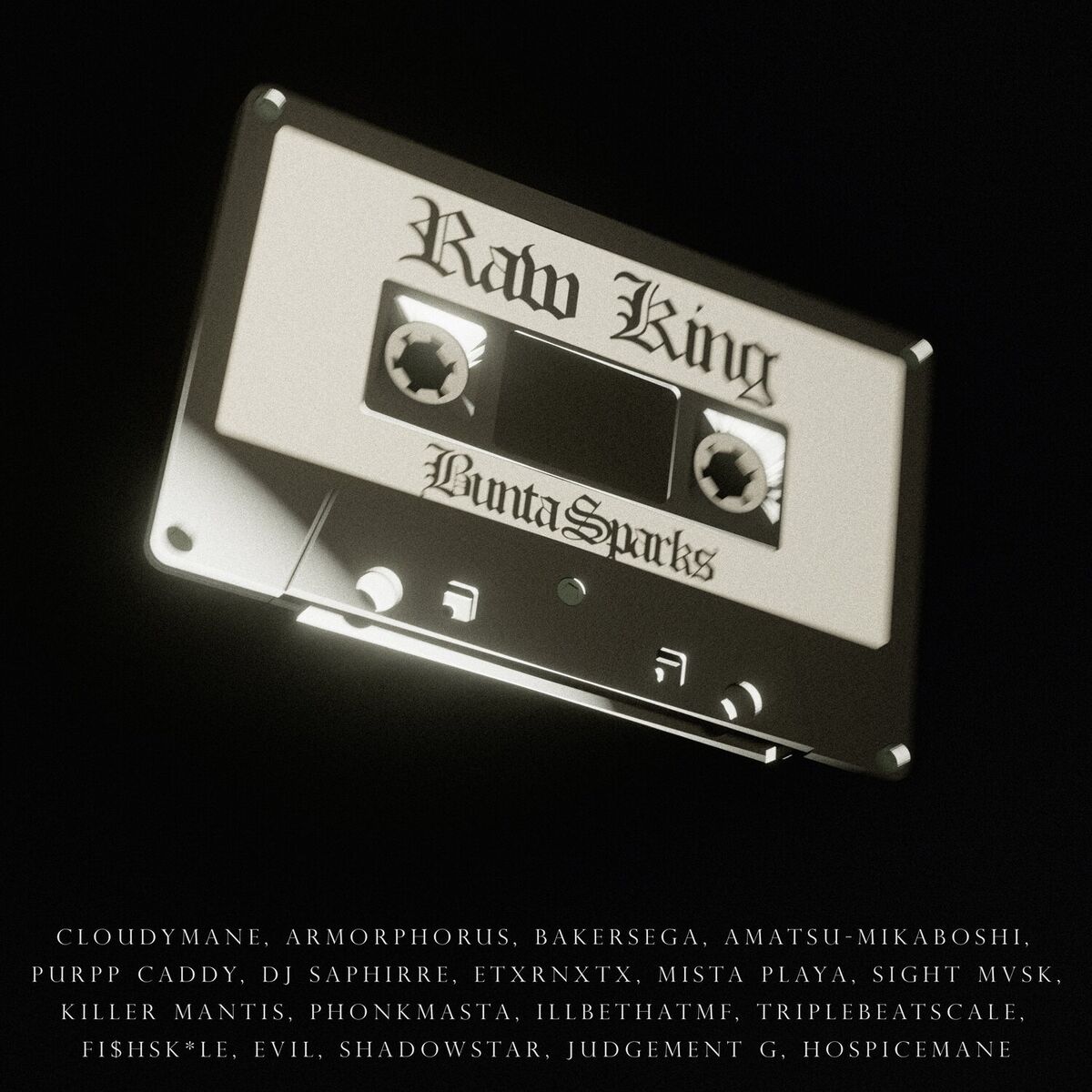 Album cover of RAW KING