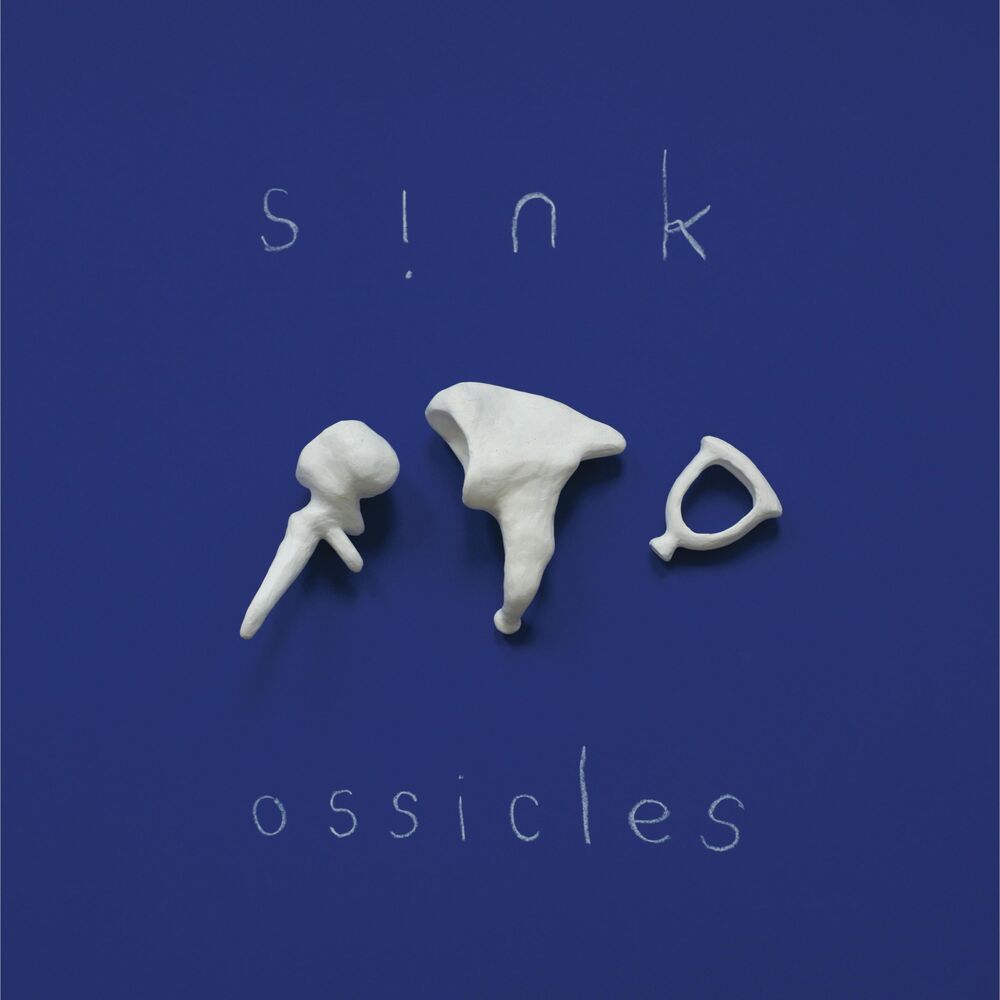 Picture of Ossicles