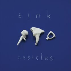 Cover of Ossicles