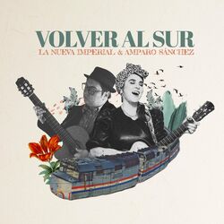 Cover of Volver al Sur